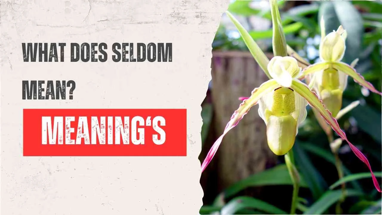 What Does Seldom Mean?