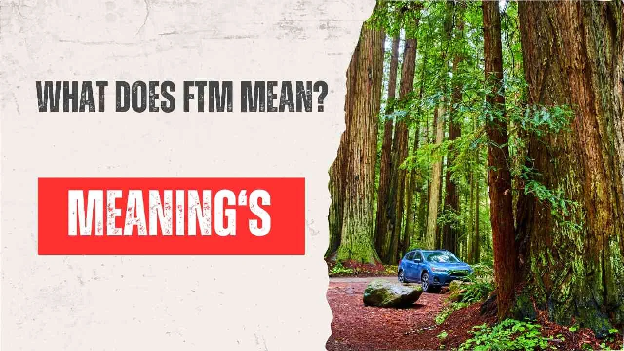 What Does FTM Mean?