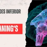 What Does Inferior Mean?