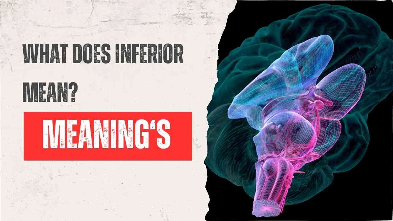 What Does Inferior Mean?