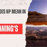 What Does NP Mean in Text?