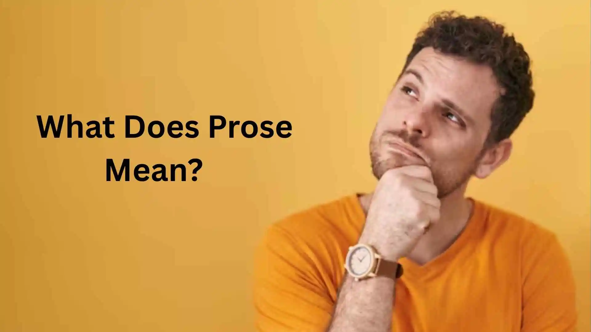 what does prose mean