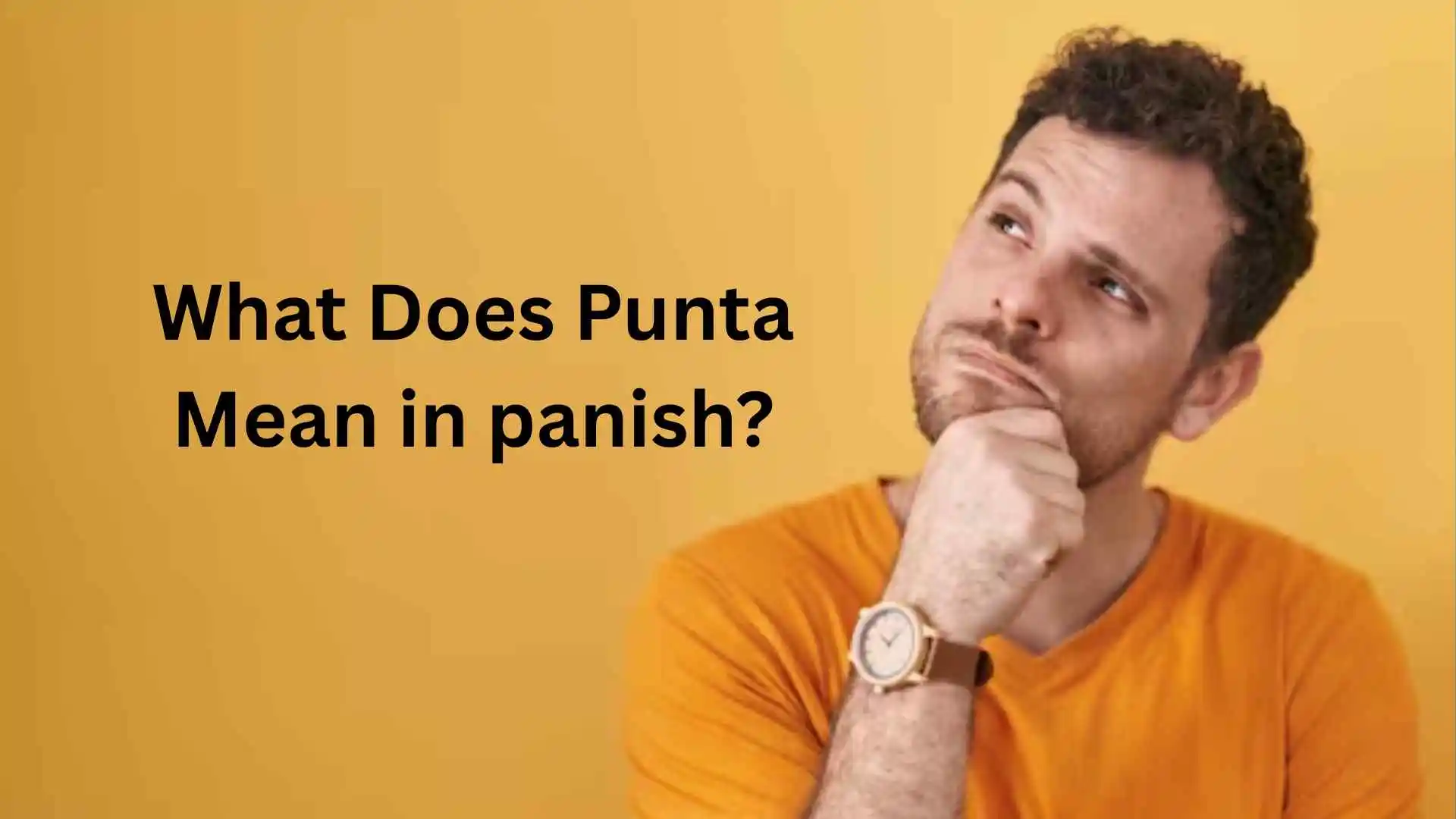 what does punta mean in spanish