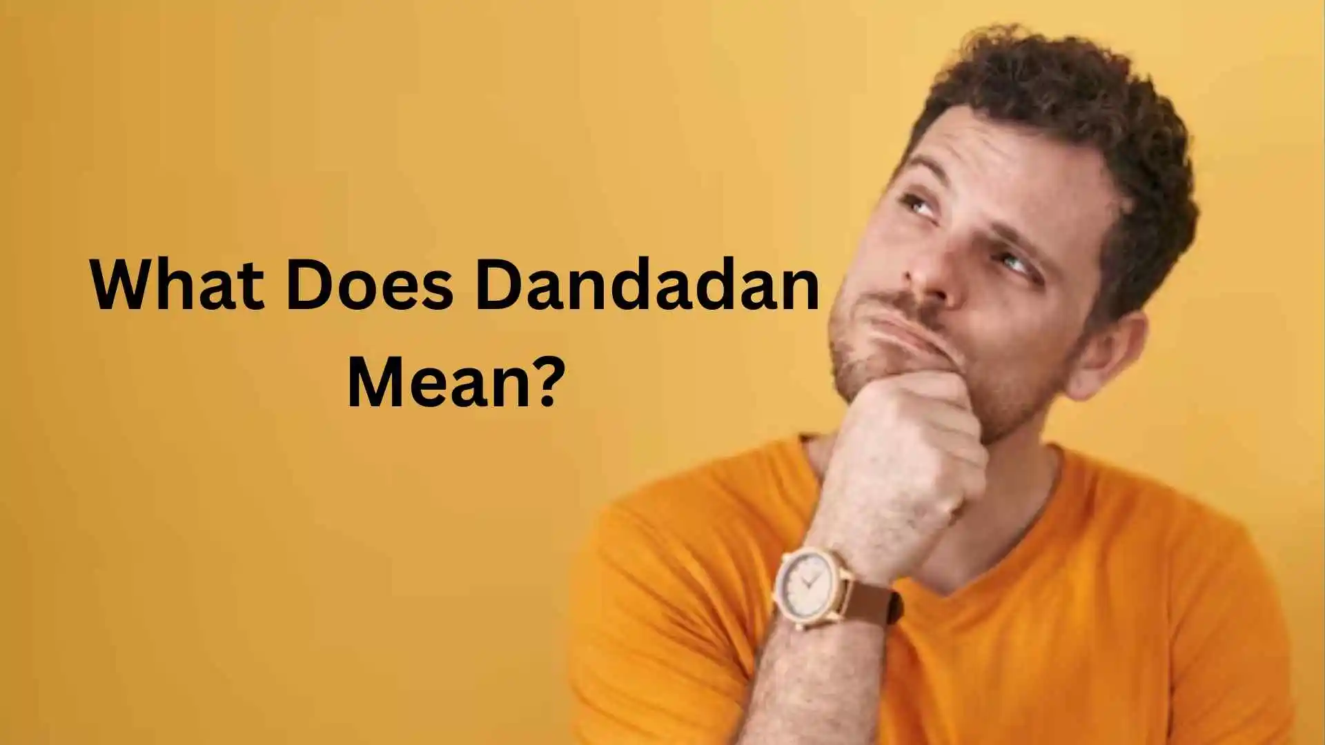 what does dandadan mean