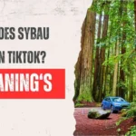 What does SYBAU mean on TikTok?