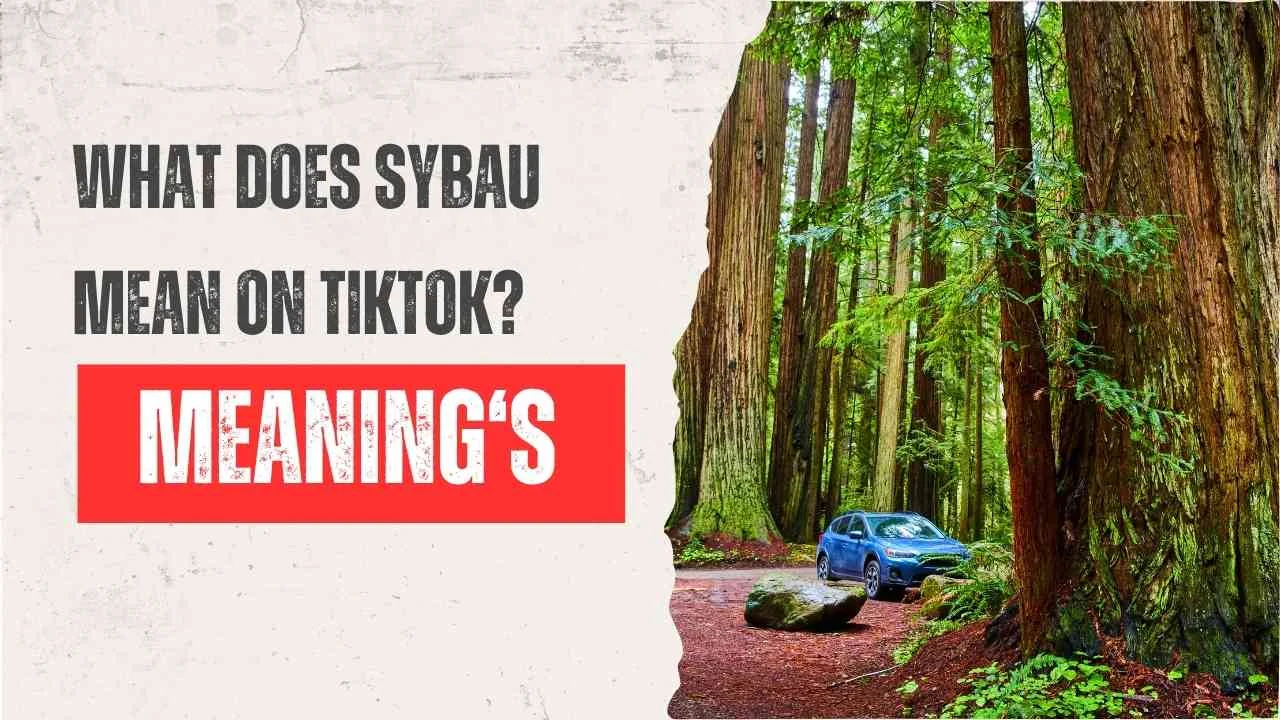 What does SYBAU mean on TikTok?