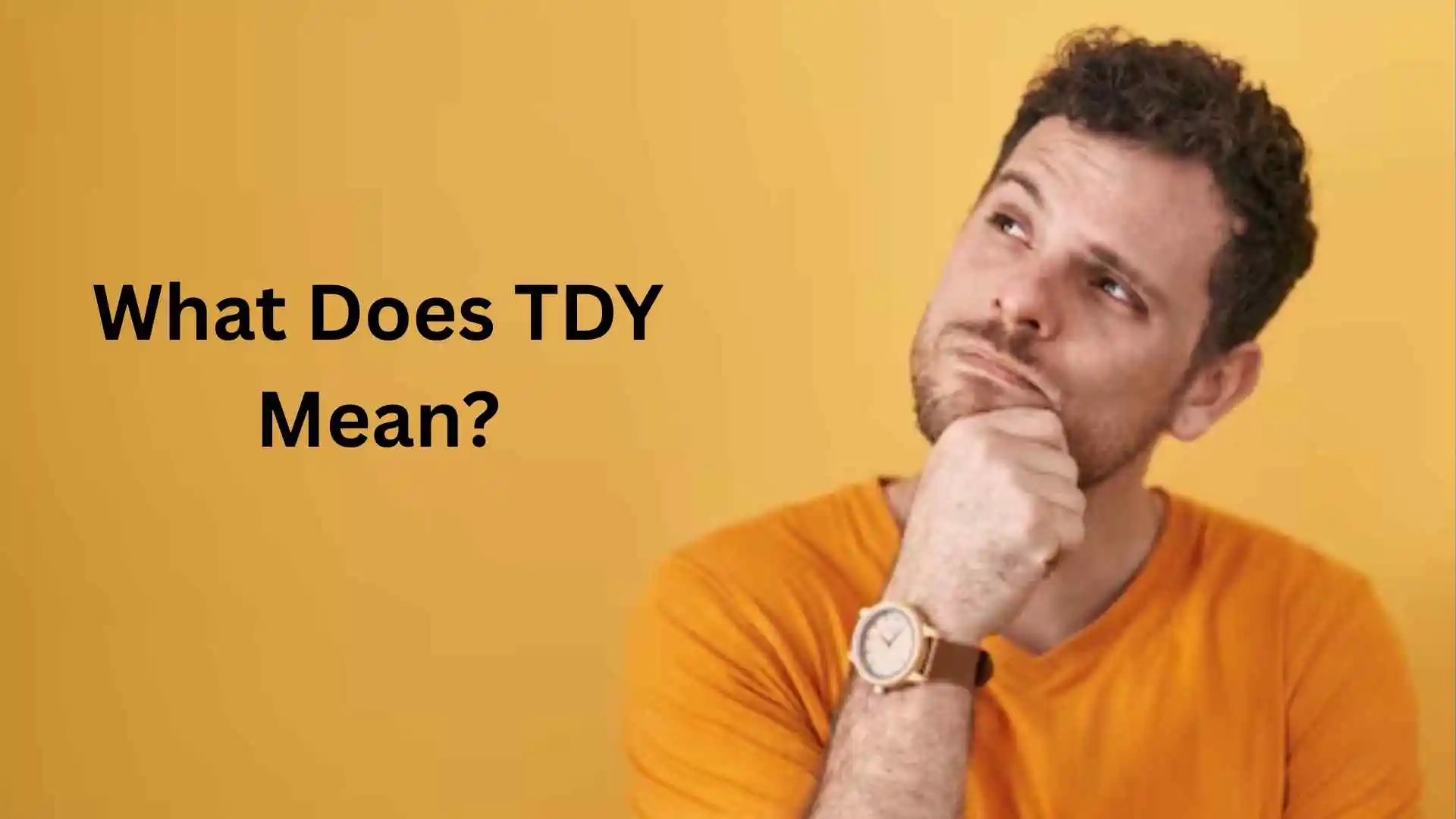 what does tdy mean