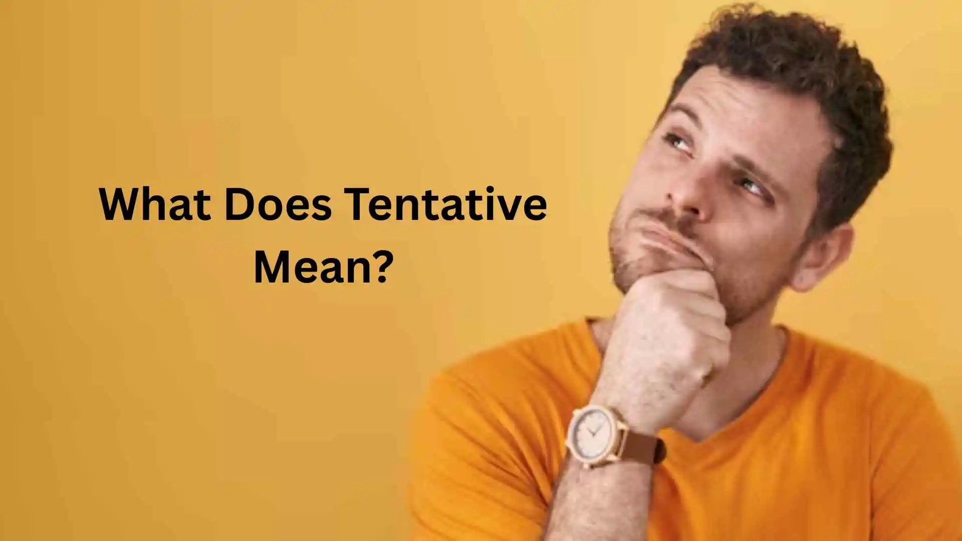 what does tentative mean