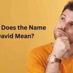 what does the name david mean