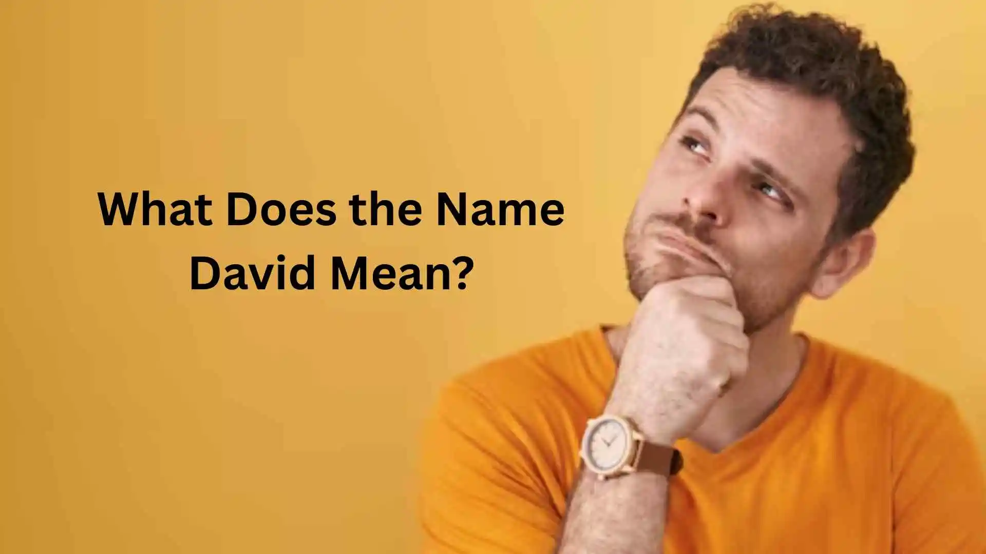 what does the name david mean