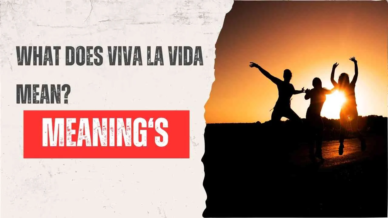 What Does Viva La Vida Mean?
