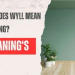 What Does WYLL Mean in Texting?